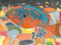 NE22 - NE - Maddy Laughlin - 5th gr - Longear Sunfish - 2nd pl state