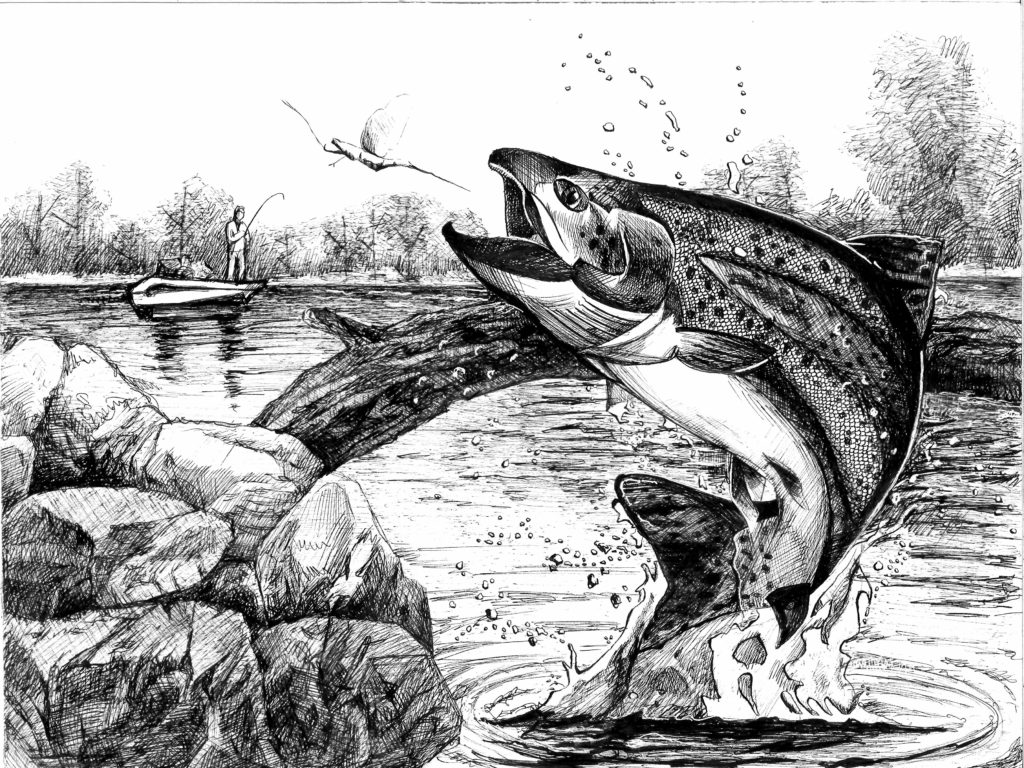 Animals For > Fly Fishing Pencil Drawings  Fly fishing tattoo, Fly  fishing, Fly fishing art