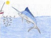 WA - 1639 - Agnes Resa Martin Parambeth - 2 - Atlantic Blue Marlin