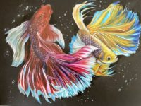 Betta Fish 7-9 Michelle Cai