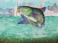 Channel Catfish Priyanka Rodrigues 7-9