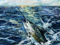 Dana Chung 7-9 Blue Marlin