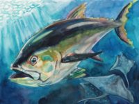Jenson Moon K-3 Yellowfin Tuna