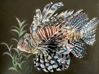 Vivian Weng 10-12 Lionfish
