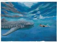 2 CA Susanna Liang 8 Whale Shark