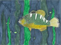 MT Maliyah Mason 4 Green Sunfish
