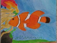 Vedh Yelamanchili 4-6 Clownfish