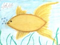 1-3 Hadiya Arshad Gold Fish