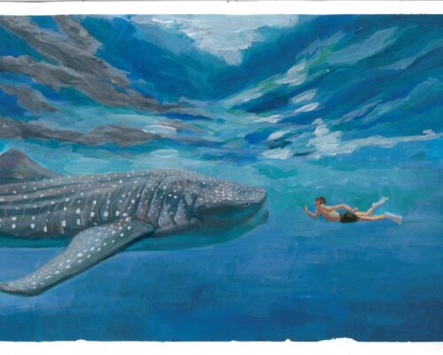 1 WINNER CA Susanna Liang 8 Whale Shark