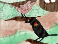 Corben H. Red-winged Blackbird