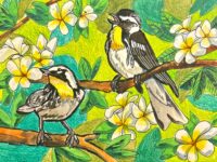 SONGBIRD ART CONTEST - Yuhan Lam - NJ
