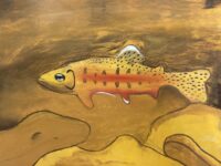 1 Cailyn Wells Golden Trout