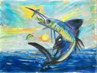 3 NH Hanvitha Karna Sailfish