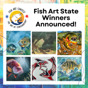 Fish Art Contest State Winners Announced