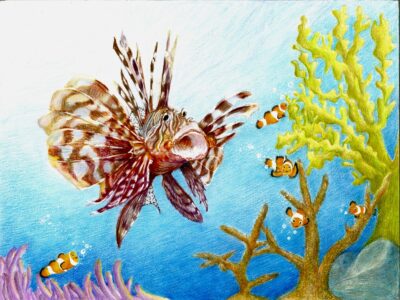 2nd MO Becky Han lionfish
